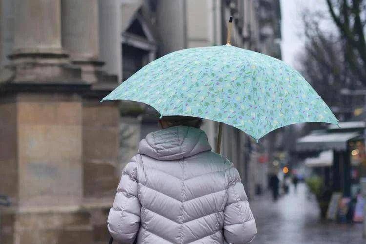 Signora con l'ombrello (Fotogramma/Ipa)