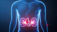 Malattie rare: glomerulopatia da C3, rimborso per iptacopan primo farmaco mirato