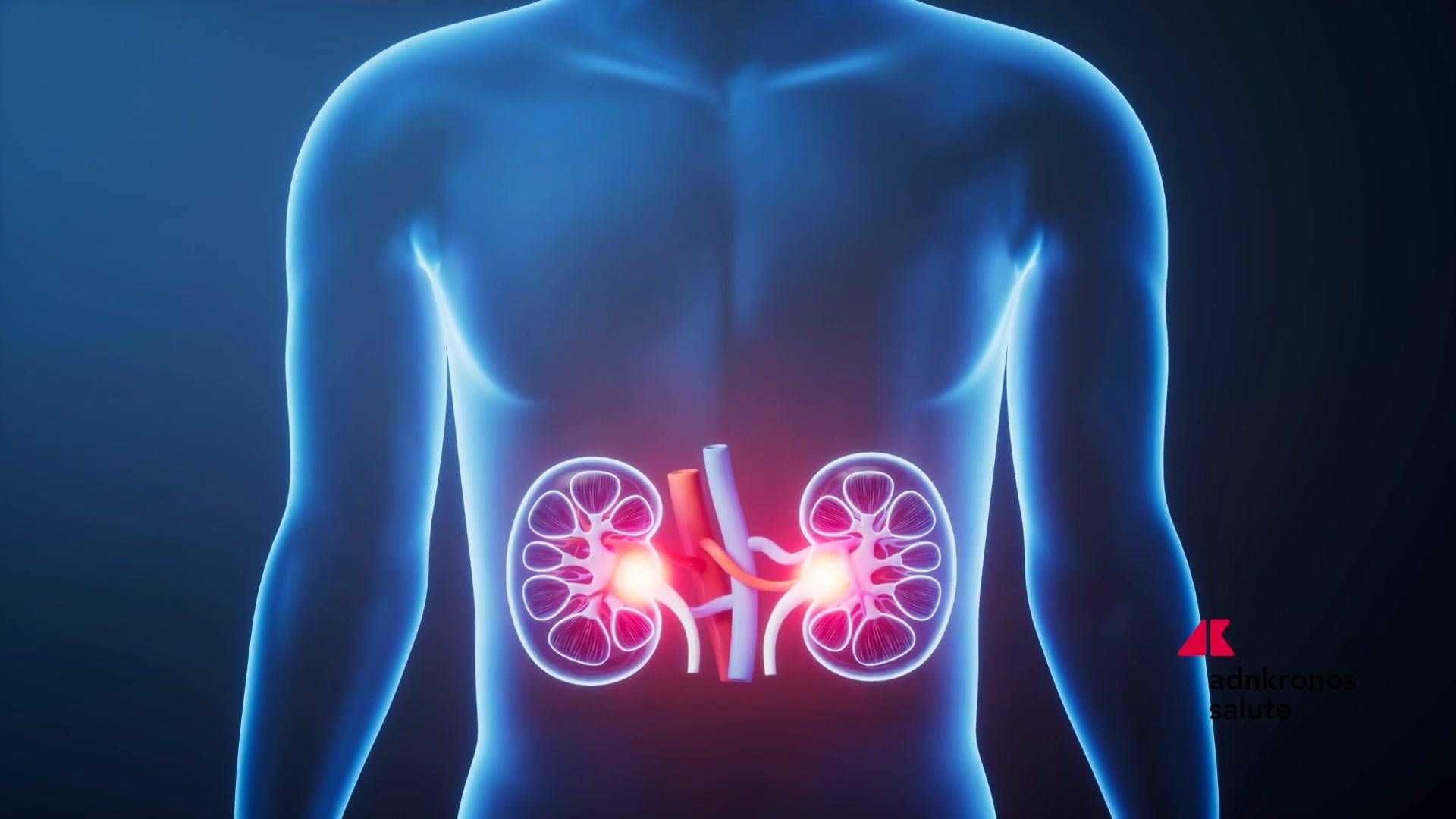 Malattie rare: glomerulopatia da C3, rimborso per iptacopan primo farmaco mirato