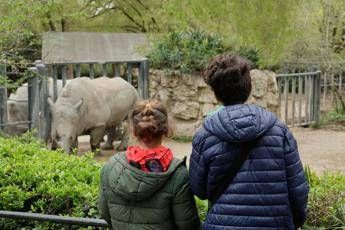 Autismo, al Bioparco di Roma un progetto del Campus Bio-Medico per rendere gli spazi più inclusivi