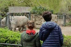 Autismo, al Bioparco di Roma un progetto del Campus Bio-Medico per rendere gli spazi più inclusivi