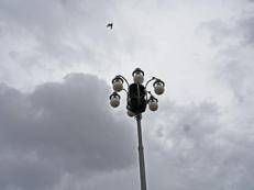 Cielo nuvoloso - (Ipa)