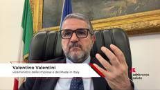Sanità: Valentini (Mimit), 'settore sia priorità strategica nazionale'