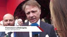 Vinitaly 2026: min. Lollobrigida, 'puntiamo a leadership mondiale con filiere più forti'