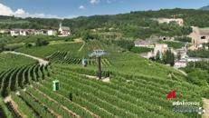 Turismo in montagna, il viaggio delle mele