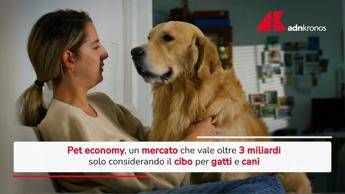 Pet economy, un mercato che vale oltre tre miliardi