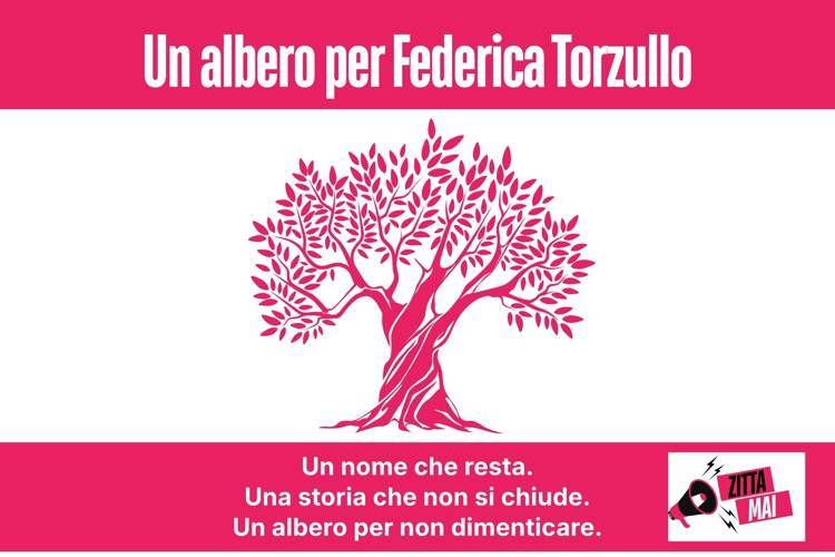 cerimonia ulivo logo comunicato comm