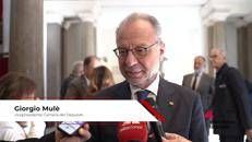 Economia: Mulè (Fi), 'Valorizzare 47mila dimore storiche con norme rapide e Art Bonus esteso'