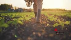 Agricoltura: presentato a Roma il Manifesto per il Biocontrollo, l'alleanza per il futuro delle campagne italiane