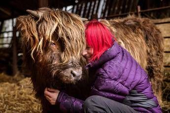  - Times Media Ltd / IPA