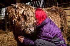  - Times Media Ltd / IPA