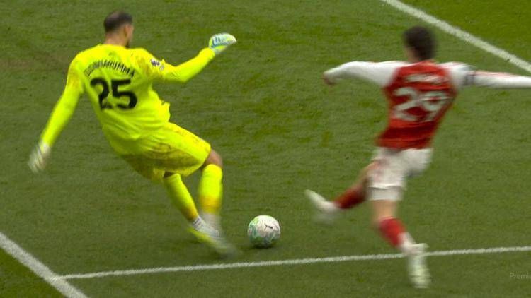 Donnarumma - frame X