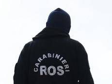 Ros (Fotogramma/Ipa)