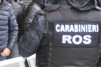 Ros, immagine d'archivio (Fotogramma/Ipa)