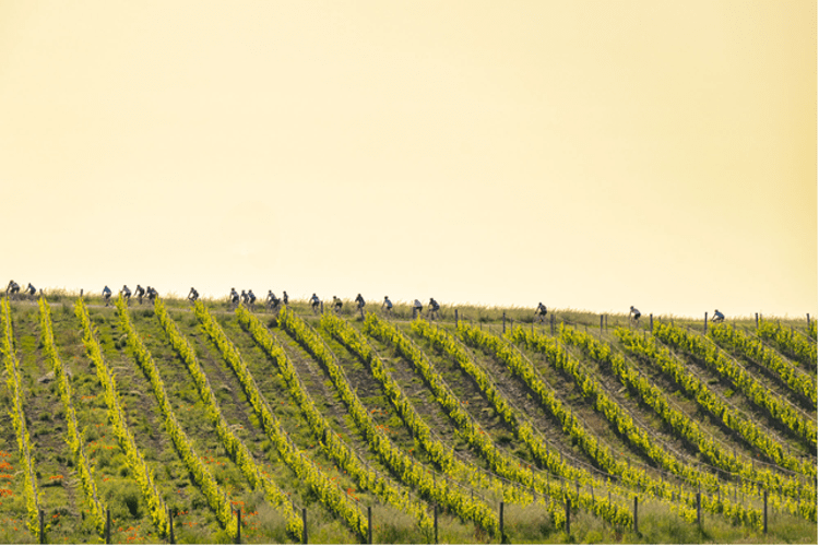 Il 31 maggio la decima edizione dell'Eroica di Montalcino: oltre un terzo viene dall'estero