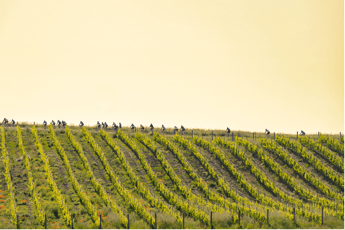 Il 31 maggio la decima edizione dell'Eroica di Montalcino: oltre un terzo viene dall'estero