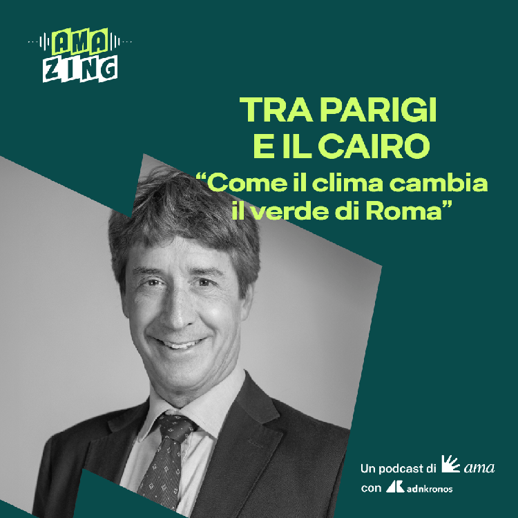 Online il quarto episodio di 