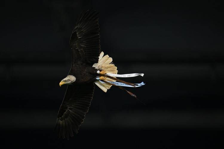 Flaminia in volo - Ipa/Fotogramma