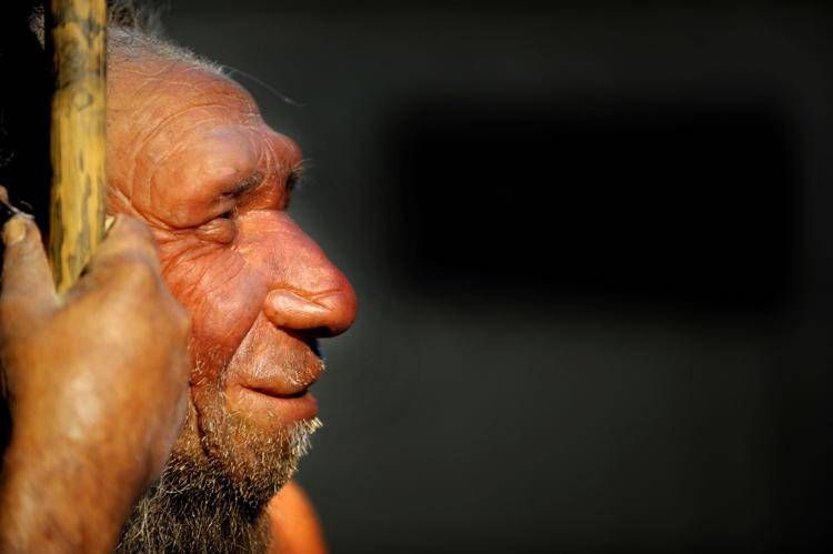 La rivincita dell'uomo di Neanderthal, non fu soppiantato dai Sapiens perché meno intelligente﻿