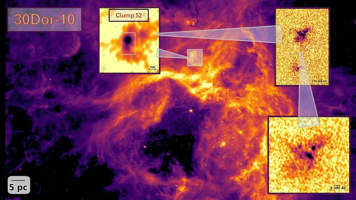 Le leggi universali della nascita delle stelle