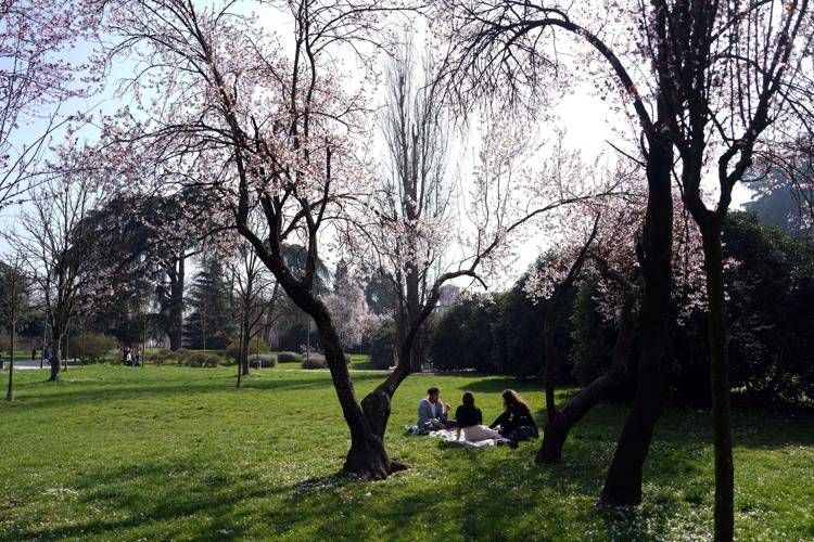 Picnic al parco in una giornata di sole - (Ipa)