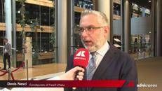 Digital Markets Act, Nesci (FdI): 