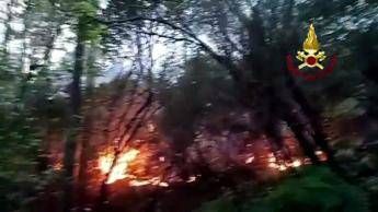 Incendio tra Lucca e Pisa, canadair in azione e abitazioni evacuate ad Asciano - Video