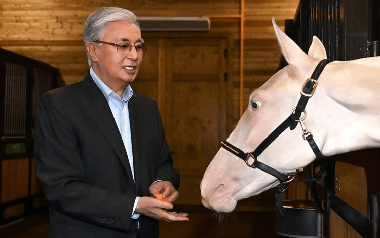 Kazakistan: Tokayev visita le scuderie presidenziali e dà da mangiare ai cavalli