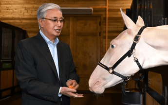 Kazakistan: Tokayev visita le scuderie presidenziali e dà da mangiare ai cavalli