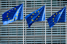Bandiere dell'Ue - (Fotogramma)