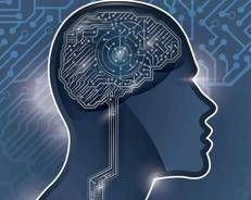 Una rappresentazione del cervello dell'uomo (123Rf free)