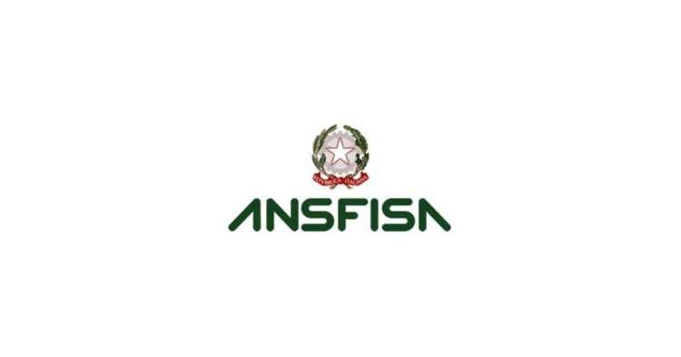 Istituzioni e Ansfisa per sicurezza infrastrutture e gestione post-emergenza