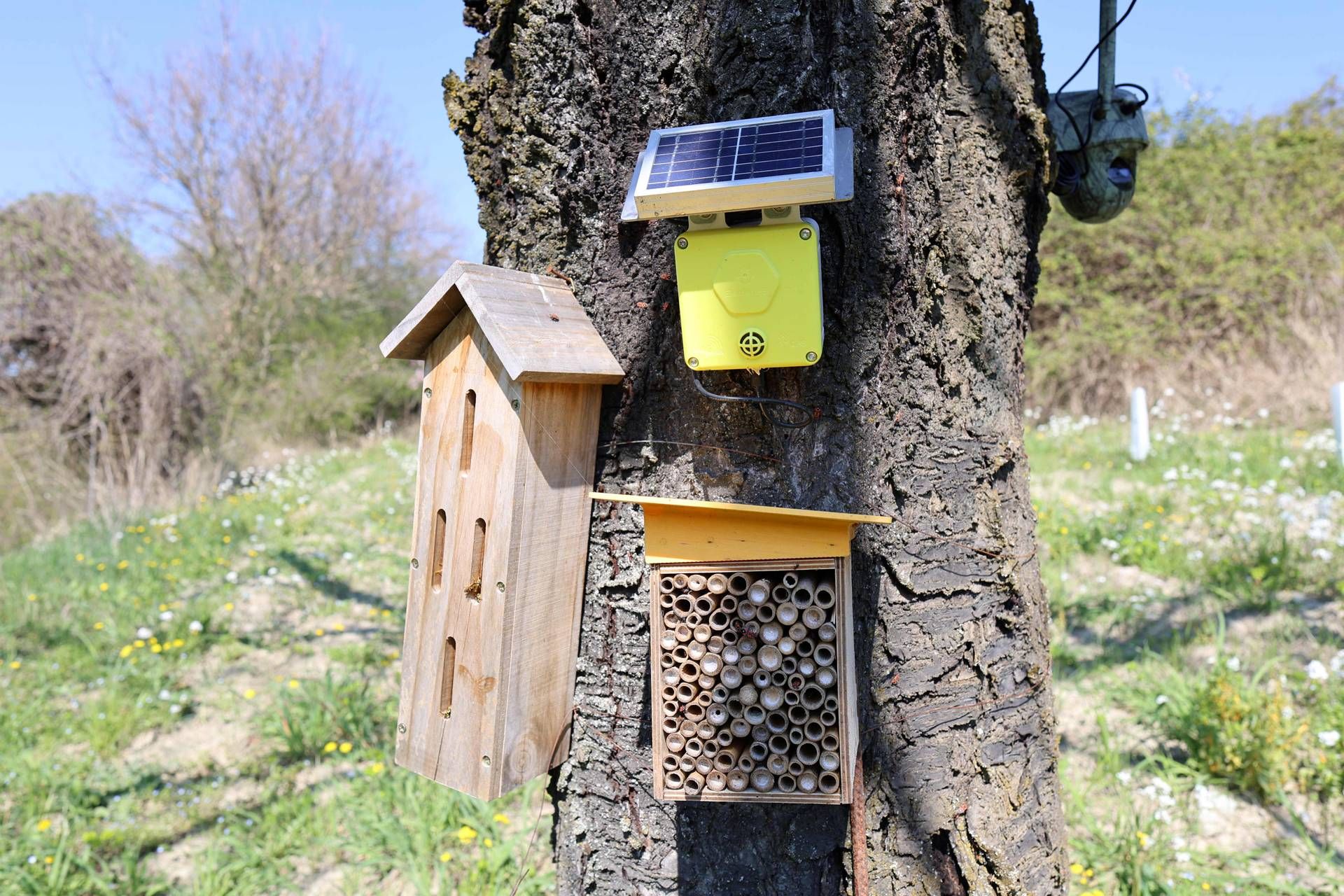 oasi della biodiversita   foto 2