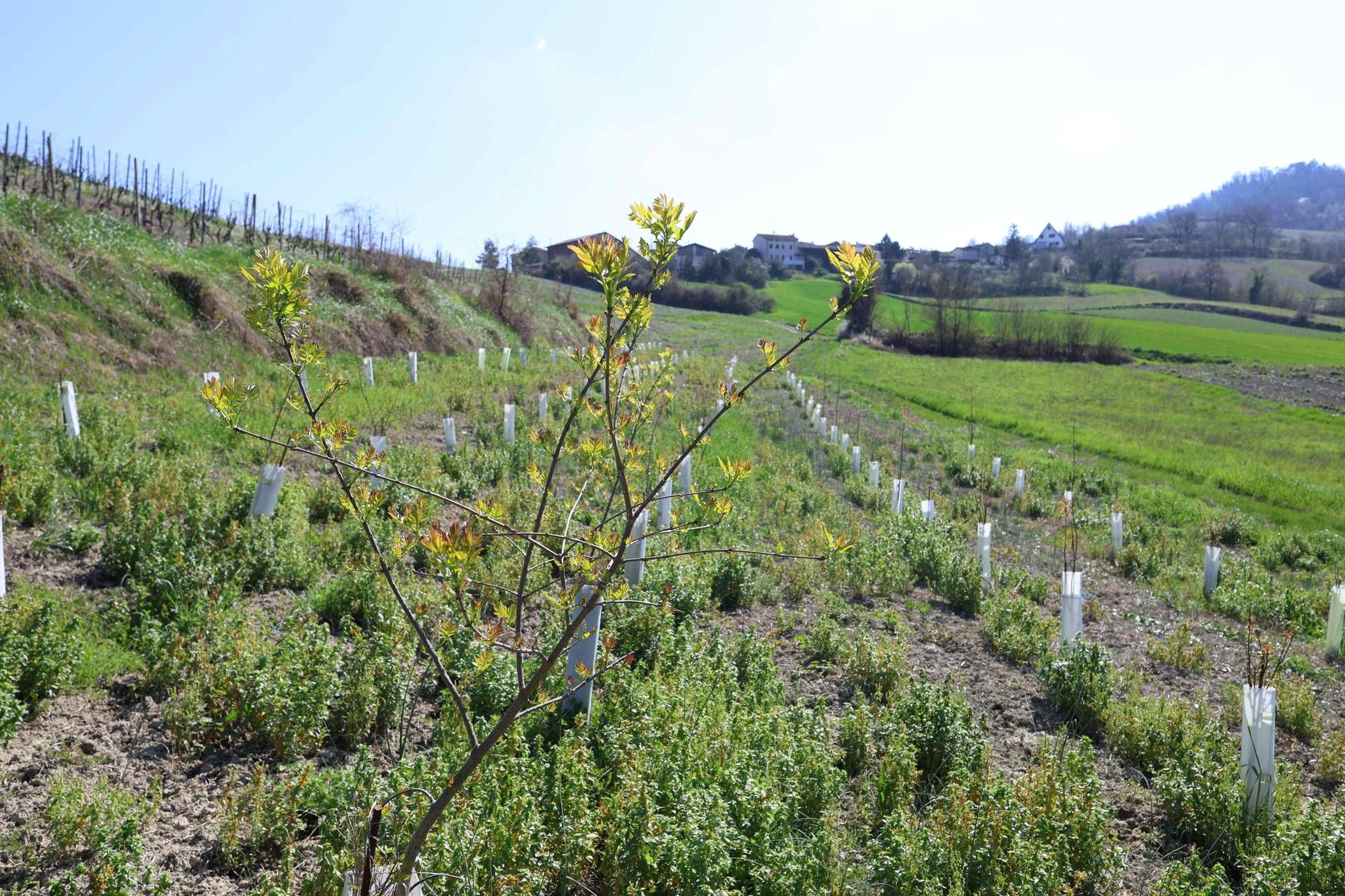 3Bee e l'Oasi della Biodiversità di Pavia