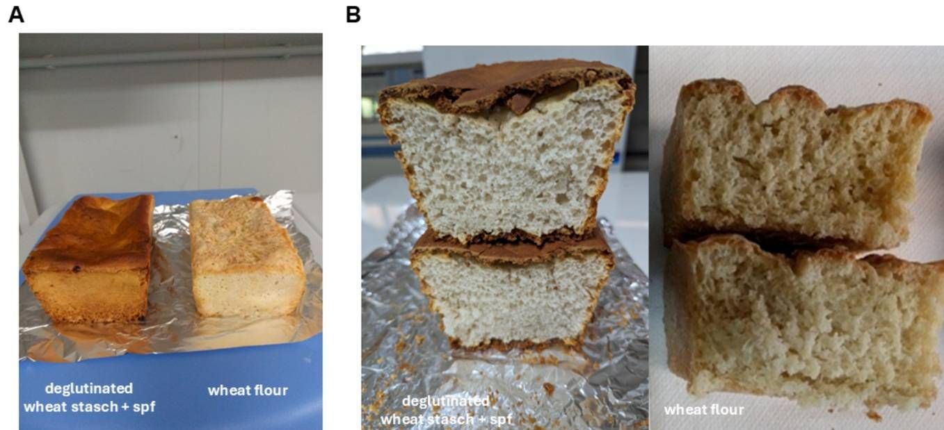 paneglutenfree