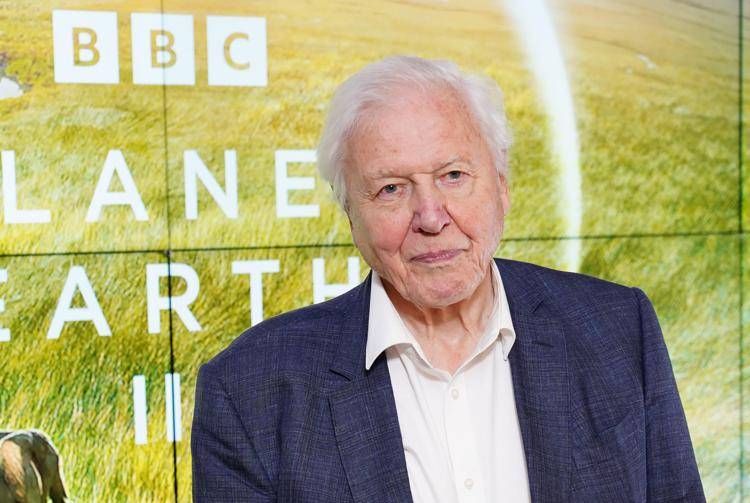 David Attenborough - Ipa