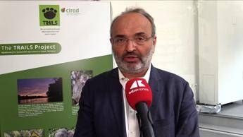 Sostenibilità, Pratesi (Eiis): "Nuove generazioni devono assumersi responsabilità"