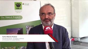 Pratesi (Eiis): 