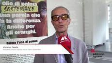 Tapella (Uiops): 