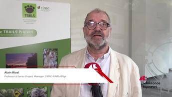 Rival (Cirad): 