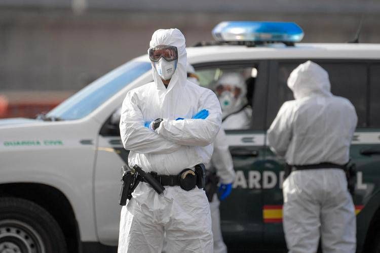 Allarme hantavirus - (Afp)
