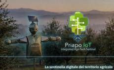 Notar.ioT, arrivano le “sentinelle digitali” per difendere il Made in Italy agroalimentare