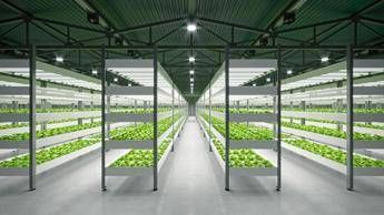 Cristalfarma prosegue gli investimenti sui suoi integratori avanzati e rafforza quelli sul vertical