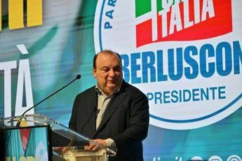 L'eurodeputato di Forza Italia Fulvio Martusciello  - Fotogramma/Ipa