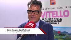 Carne vitello: Sgoifo Rossi (UniMi) 