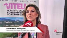 Carne vitello: Pellegrino 