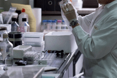 Laboratorio di ricerca - (Fotogramma)