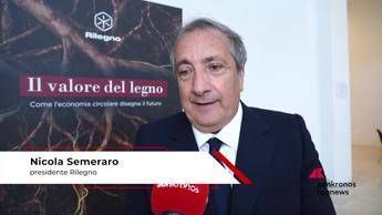 Legno, Semeraro (Rilegno): 