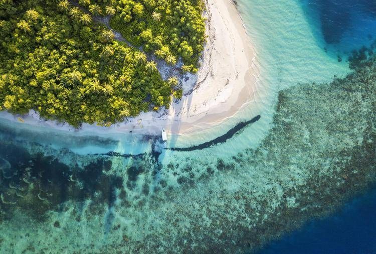 Italiani morti alle Maldine, iniziate le operazioni di recupero dei corpi - Fotogramma /Ipa