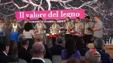 Legno protagonista dell'economia circolare, oltre il 70% del materiale riciclato in Italia